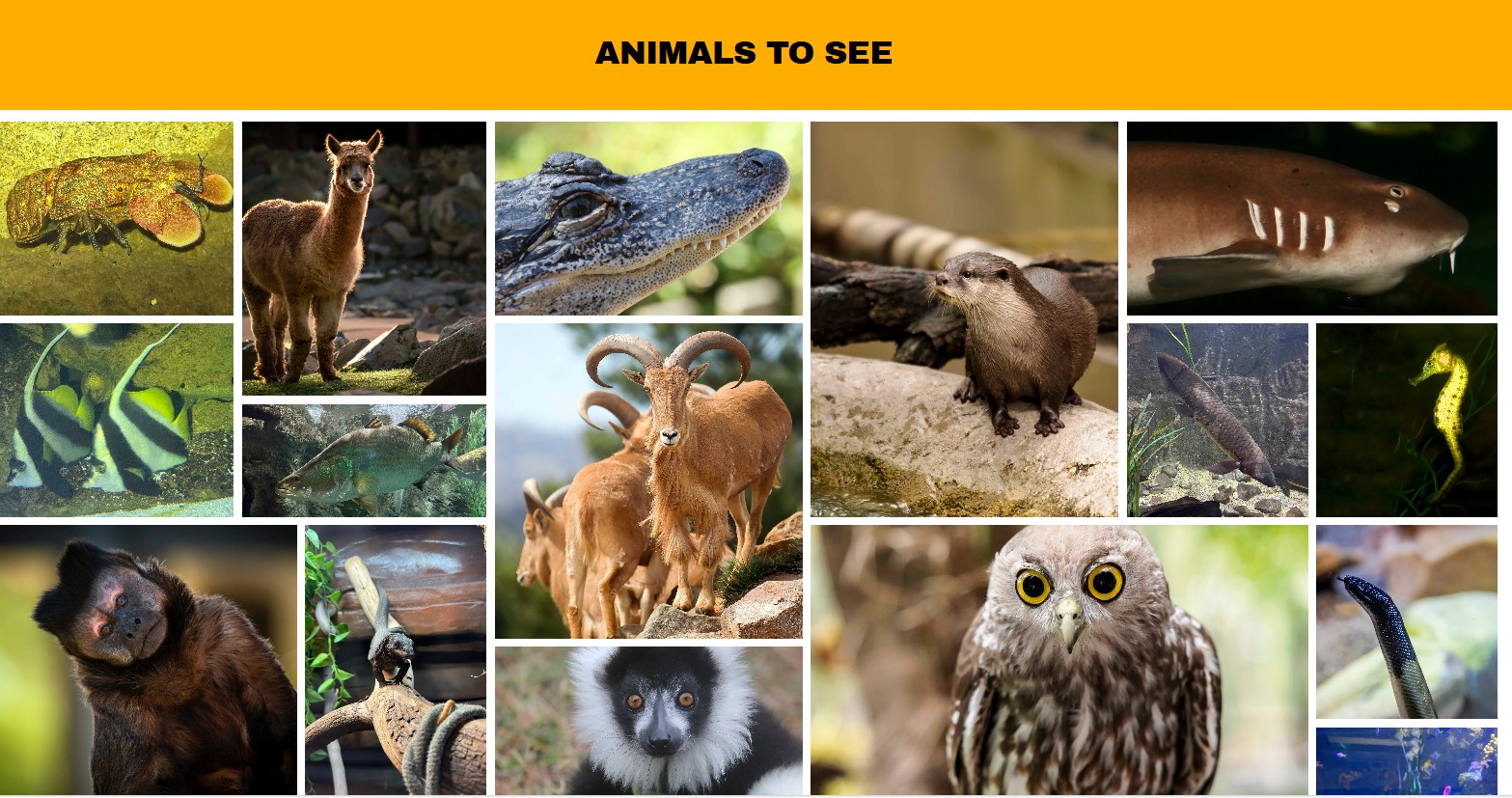 National Zoo $170 family Pass